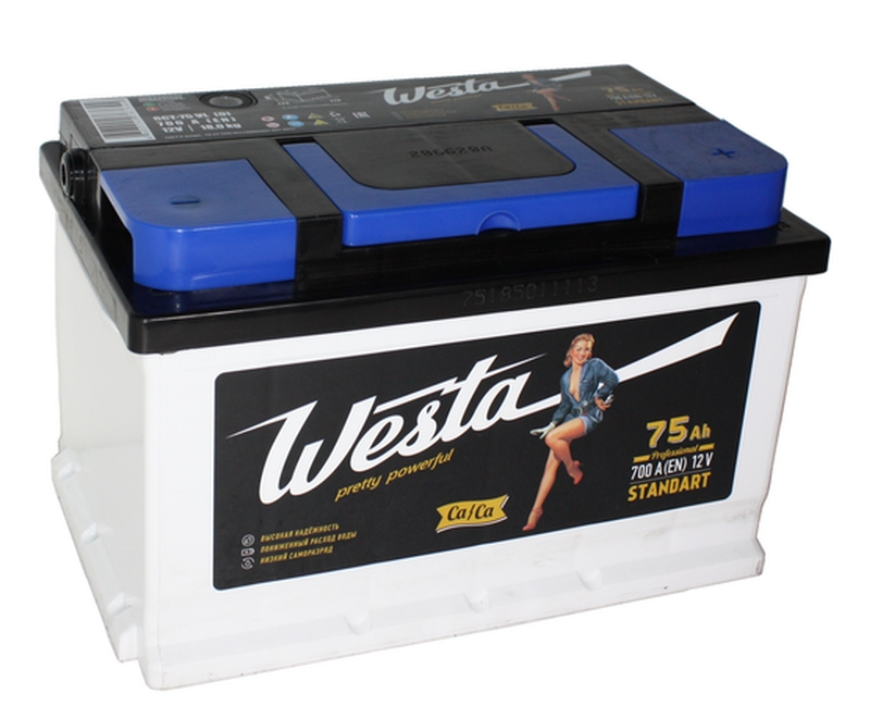 WESTA Black 6СТ